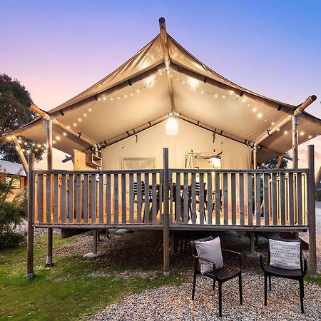 Scamander Sanctuary Holiday Park Экстерьер фото
