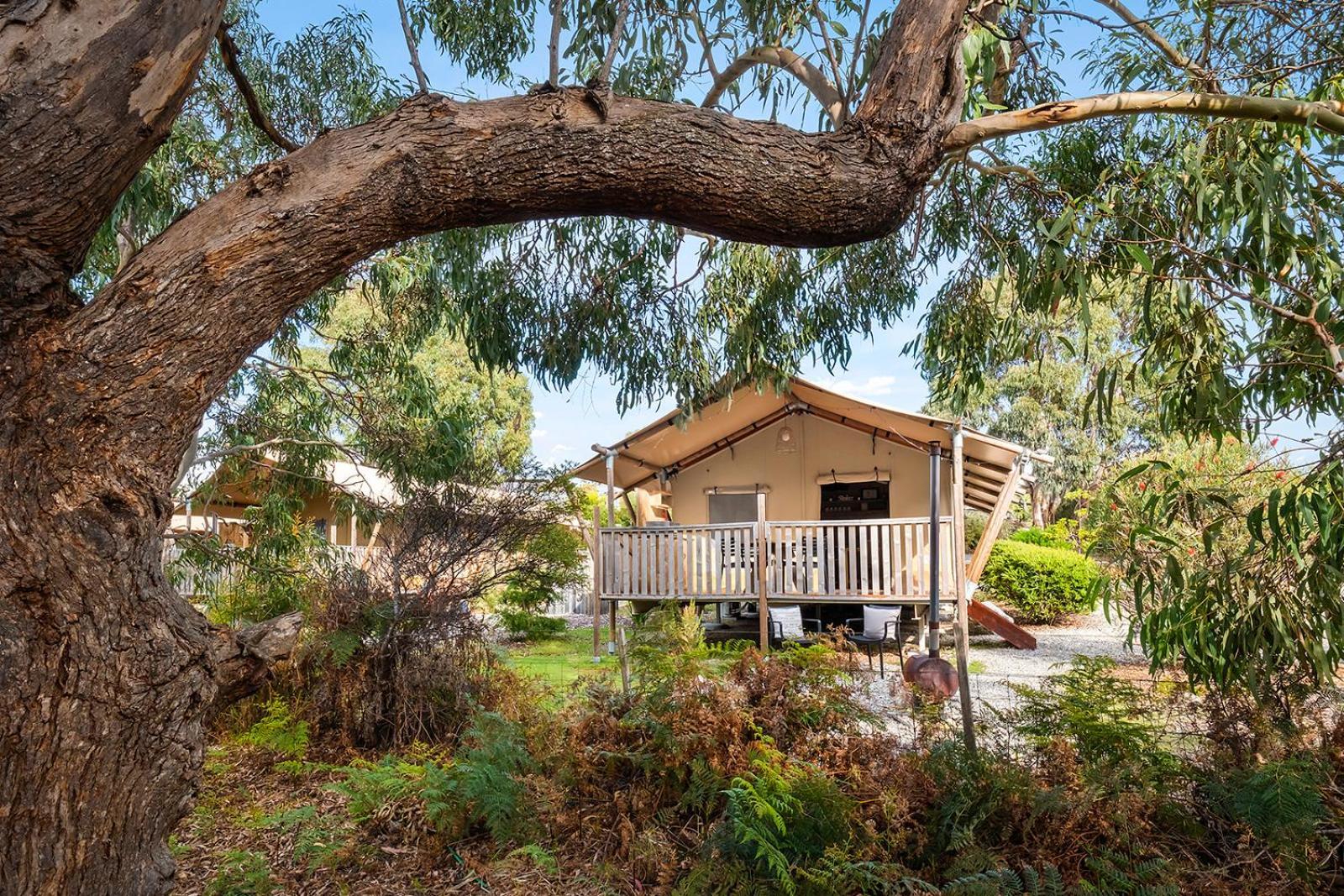 Scamander Sanctuary Holiday Park Экстерьер фото